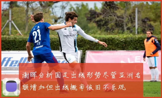 谢晖分析国足出线形势尽管亚洲名额增加但出线概率依旧不乐观